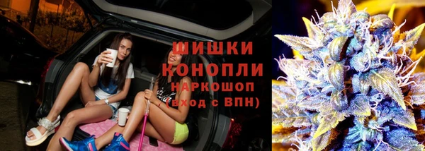 дживик Богородск