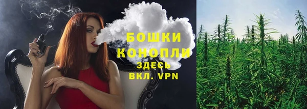 бутират Бикин